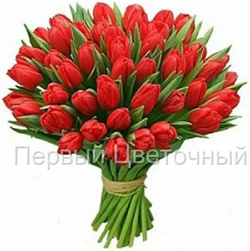 Букет красных тюльпанов "Ноктюрн" в Ставрополе