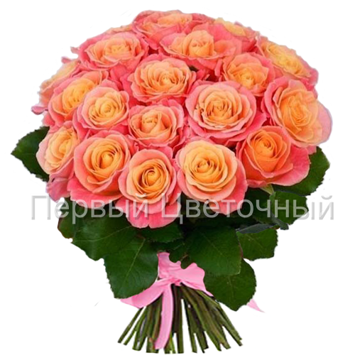 Персиковые розы "Мисс Пигги" (Россия) в Ставрополе