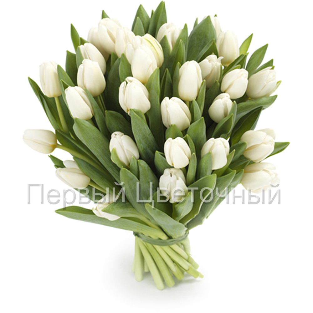 Букет белых тюльпанов "Жемчужное ожерелье" в Ставрополе