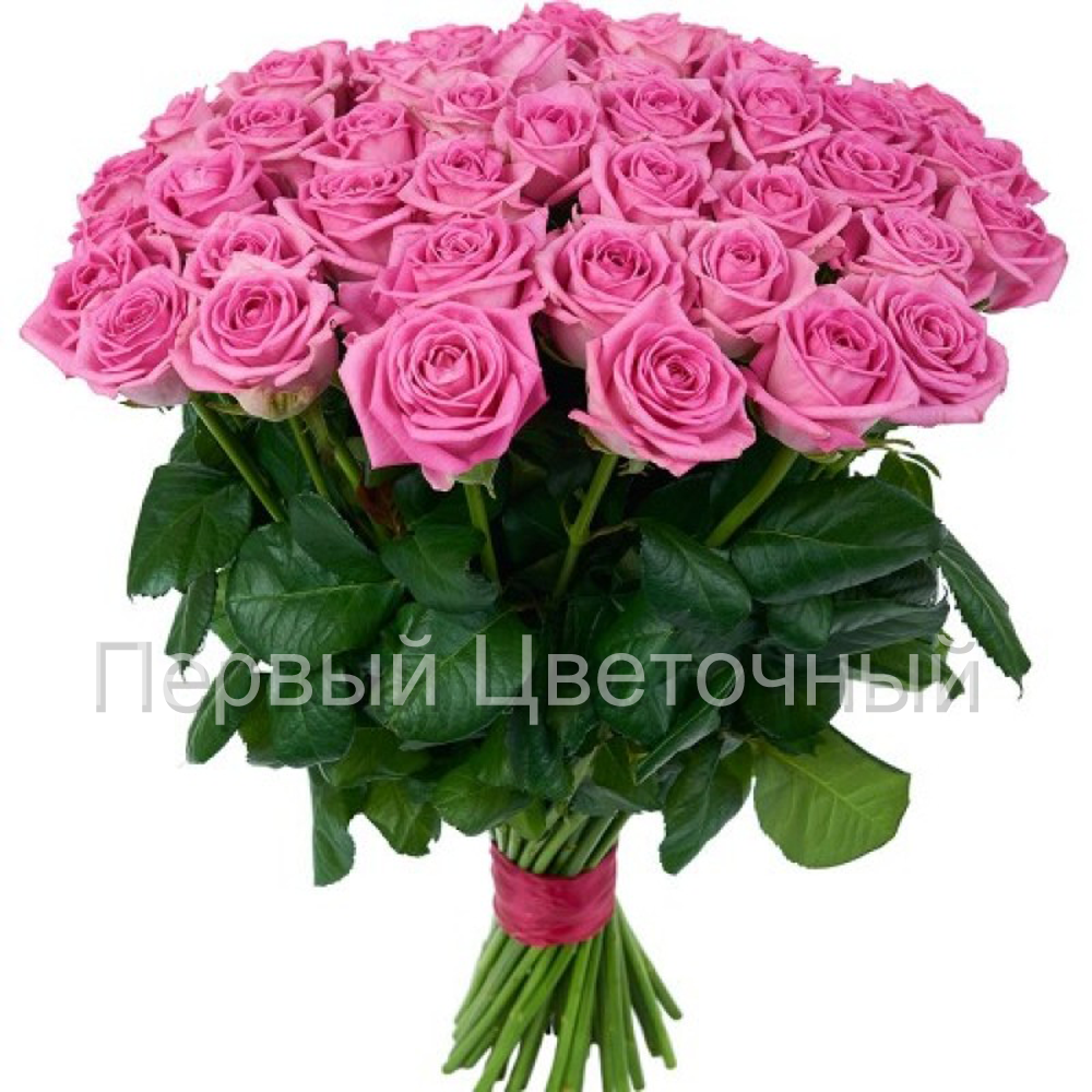 Букет из розовых роз (50, 60, 70, 80 см. Россия) в Ставрополе