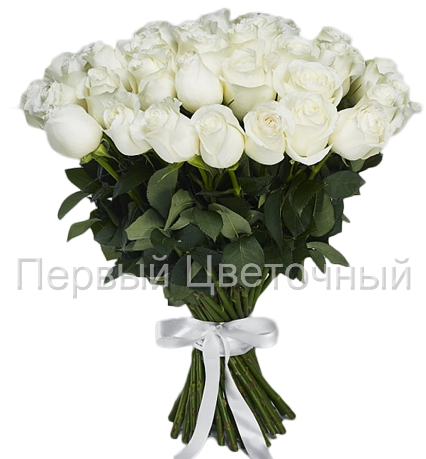 Букет из белых роз (50, 60, 70 см. Россия) в Ставрополе