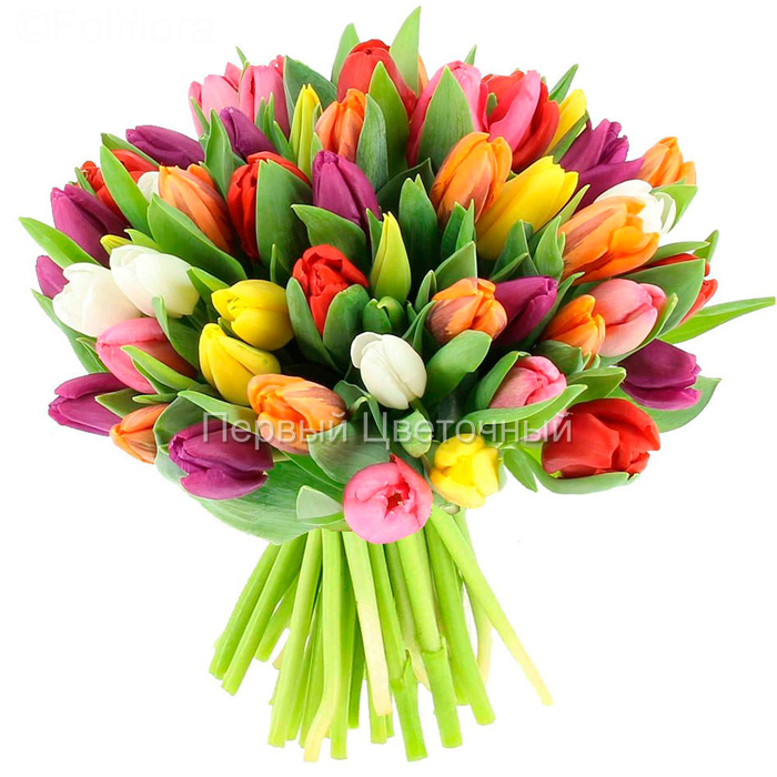 Букет разноцветных тюльпанов  в Ставрополе